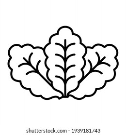 Vector Lettuce Outline Icon Design
