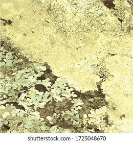 vector lichen texture backround pattern