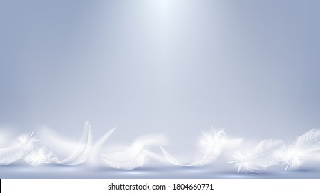 Vector light background with lying white feathers, light and airy backdrop