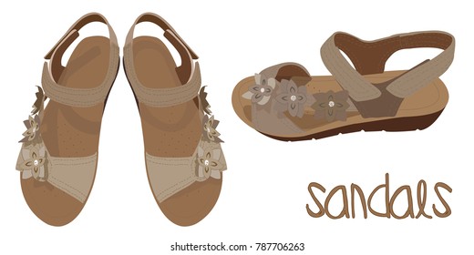 Vector Light Brown Sandals, Fashionable Look. Illustration of Summer Woman's Shoes in Beige Colours. Vector Drawing of Fashionable Look of Woman's Sandals in Beige Colours