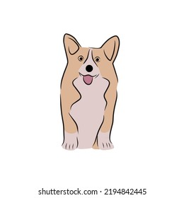 Vector of a light brown and white cute dog. Suitable as an illustration.