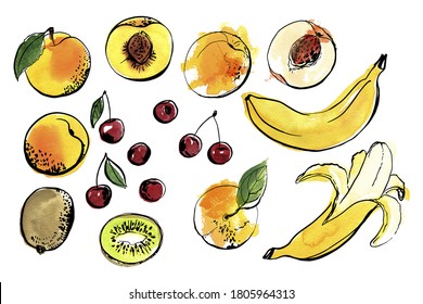 Vector light fruit line watercolor on white background. Peach, kiwi, cherry, banana 
