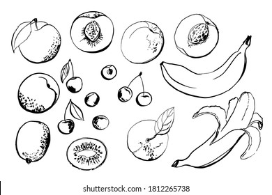 Vector light fruit line watercolor on white background. Peach, kiwi, cherry, banana 