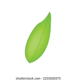a vector of light green mixed with dark green leaves