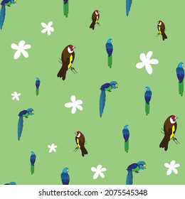 Vector Light Green Tropical Aves sin soldadura patrón de fondo
