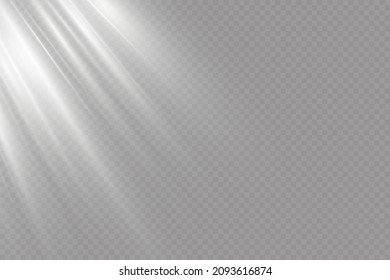 Vector light with starry sparkle. Magic effect. Light effects background.