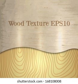 Vector light wood birch texture