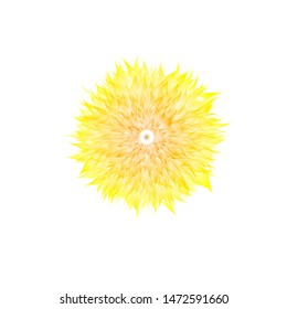 vector of light yellow flowers, on a white background