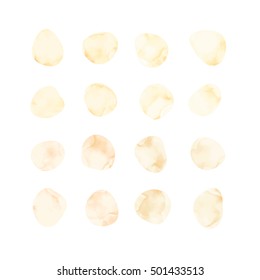 Vector light yellow watercolor spots. Stained petals. Hand painted circles collection.