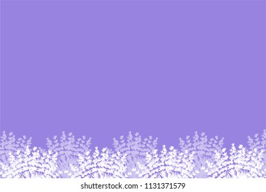 Vector lilac background with lavender flowers. Template for postcards, invitations, posters. You can use in the design of materials for a wedding, birthday, party