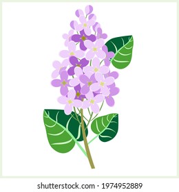 Vector - lilac branch pattern.
Floral template with leaves.