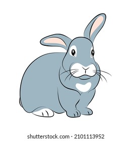 vector lilttle rabbit furry  wild animal big ears sitting rodent cute easter domestic pet decorative portrait