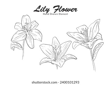 Flor de lirio vectorial en estilo de arte de línea blanca y negra
