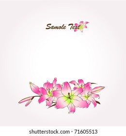 vector lily flowers background