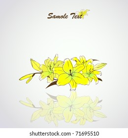 vector lily flowers background