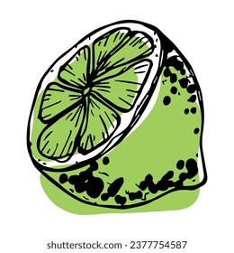 Vector lime clipart. Hand drawn citrus icon. Fruit illustration. For print, web, design, decor