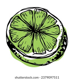 Vektorkalkklammer-Kunst. Handgezeichnete Zitrussymbol. Obstgrafik. Für Druck, Web, Design, Dekoration