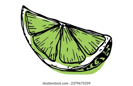 Vector lime clipart. Hand drawn citrus icon. Fruit illustration. For print, web, design, decor