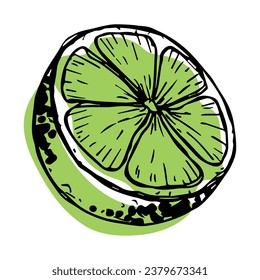Vector lime clipart. Hand drawn citrus icon. Fruit illustration. For print, web, design, decor