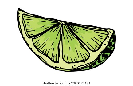 Vector lime clipart. Hand drawn citrus icon. Fruit illustration. For print, web, design, decor