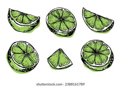 Vector lime clipart. Hand drawn citrus set. Fruit illustration. For print, web, design, decor