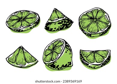 Vector lime clipart. Hand drawn citrus set. Fruit illustration. For print, web, design, decor