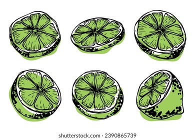 Vector lime clipart. Hand drawn citrus set. Fruit illustration. For print, web, design, decor