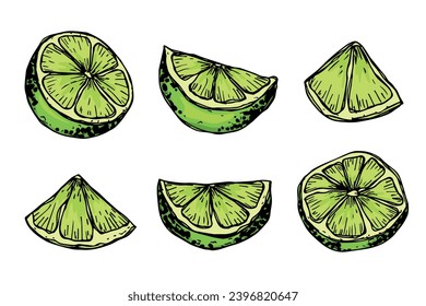 Vector lime clipart. Hand drawn citrus set. Fruit illustration. For print, web, design, decor