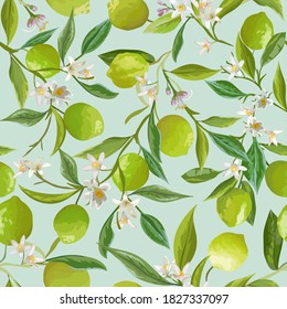 Vector Lime Floral Background, Seamless Fruit Pattern, Citrus Fruits, Flowers, Leaves, Limes Branches Texture. Watercolor Style Lemons. Vintage Lemon Design for Print, Wedding, Backdrop, Wallpaper