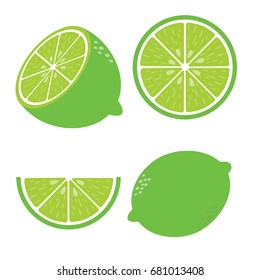 Vector Lime. Fresh Lime Fruits, Vector Illustrations