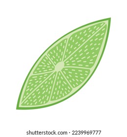 Ilustración de frutos de cal vectorial. Sección plana de cal vectorial aislada