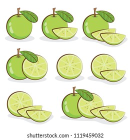 Vector lime , green lemon with leaf on white background