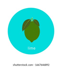 Vector lime icon isolated on white background.  Flat blue circle icon with fruit. Healthy food. 