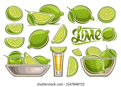 Vector Lime Set, lot collection of cut out illustrations fruit still life composition in transparent dish, group of variety sliced fruity limes, alcohol gold tequila in glass short with lime garnish