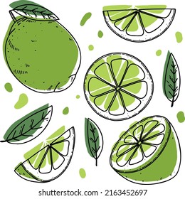 Vector lime set: lime, slice, half, whole, and leaves. Green abstract hand-drawn citrus collection with black outline isolated on white background. 