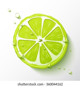 Vector lime slice, drops of juicy, realistic design, minimalistic style, isolated object on a white background.