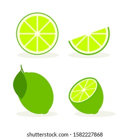 Vector lime slice green illustration lemon isolated half fruit lime. Fresh green cut citrus icon.