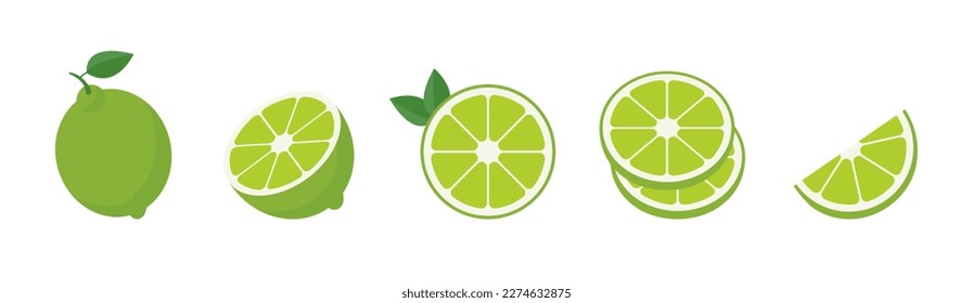 Vector lime slice green illustration lemon isolated half fruit lime. Fresh green cut citrus icon. Vector 10 eps.