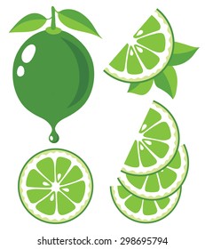 Vector lime. Lime slices and juice, collection of vector illustrations