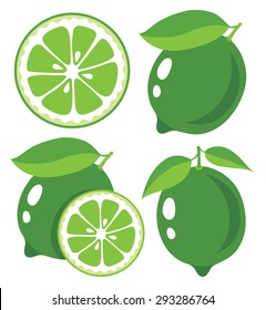 Vector limes. Fresh lime fruits, collection of vector illustrations