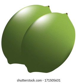 Vector LImes Icons On White Background Isolated