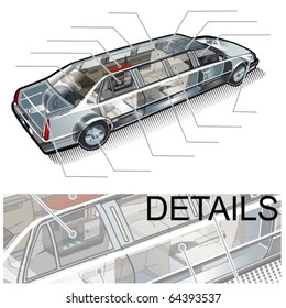 Vector limousine infographics cutaway