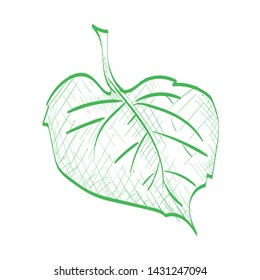 Vector Linden Leaf, Hand Drawn Illustration. Cross Hatch Pencil Sketch Style.