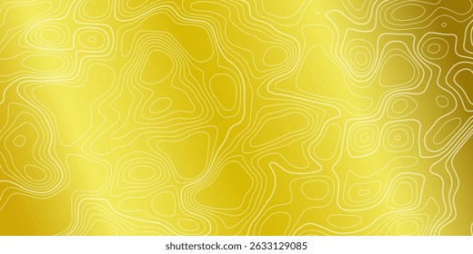 Vector line abstract wave pattern, organic texture map, topography modern graphic. Gold banner with white lines. Geometric art shapes, curve digital illustration.