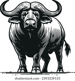 Vector line art of African buffalo, black and white illustration, 