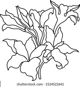 Vector line art beautiful flower.