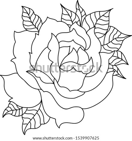 Vector line art beautiful flower
