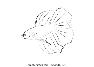 Dibujo de la línea del vector betta peces, línea negra, fondo blanco