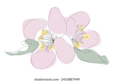 Vector Line art Boho style illustration. Graphics flower with colors stains. Outline Minimalist Floral Ornament isolated on white background. Botany concept design object for Wall Poster, Card, Print.