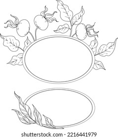 arte de línea vectorial botánica hojas de rosa silvestres y bayas negro y blanco